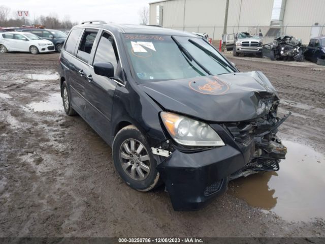 honda odyssey 2010 5fnrl3h79ab113398