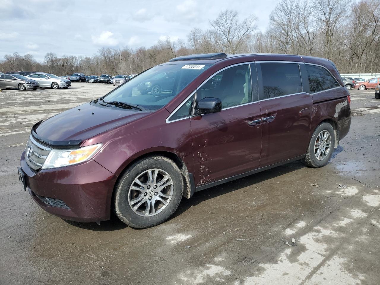 honda odyssey 2013 5fnrl5h64db054087