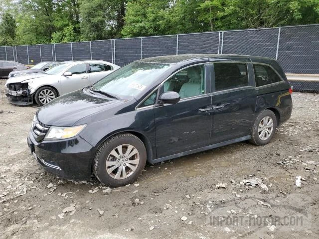 honda odyssey 2014 5fnrl5h64eb132532