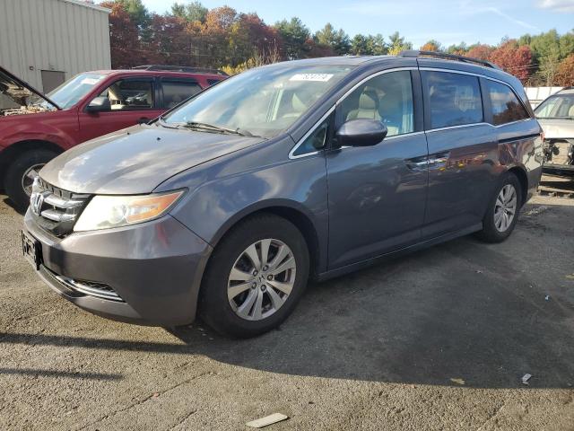 honda odyssey ex 2015 5fnrl5h64fb018712