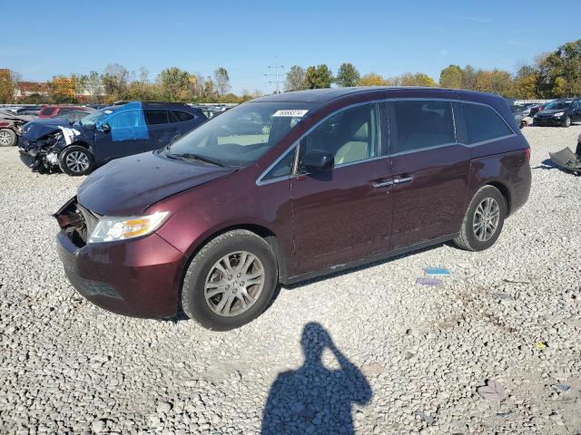 honda odyssey ex 2011 5fnrl5h69bb021616