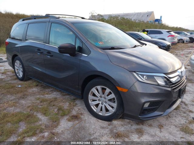 honda odyssey 2020 5fnrl6h20lb028782