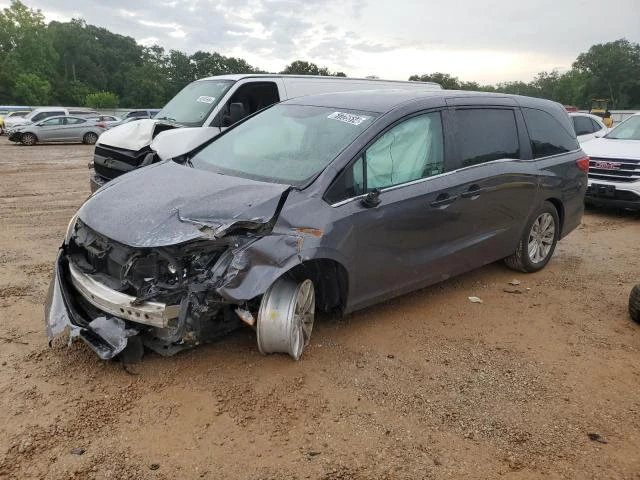 honda odyssey lx 2019 5fnrl6h29kb079924