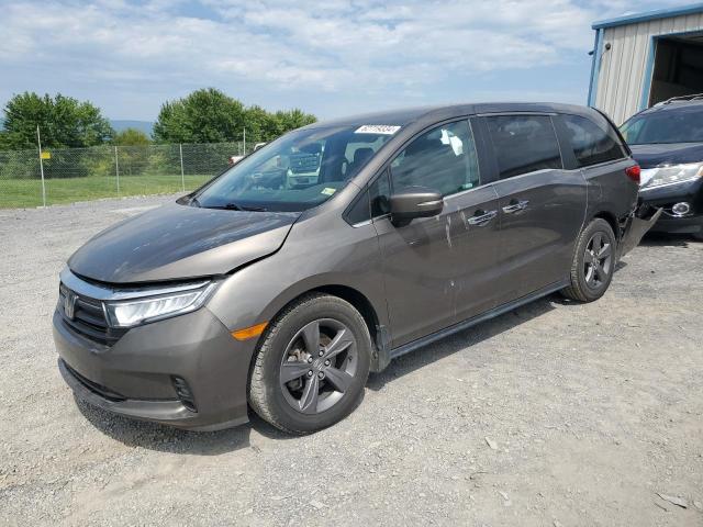 honda odyssey ex 2022 5fnrl6h50nb013017