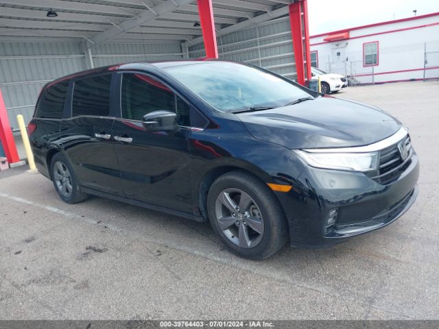 honda odyssey 2022 5fnrl6h52nb035097