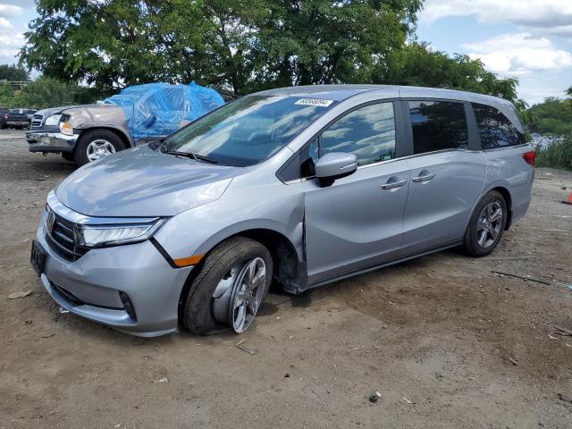 honda odyssey ex 2024 5fnrl6h52rb059034