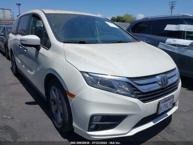 honda odyssey 2019 5fnrl6h53kb070629