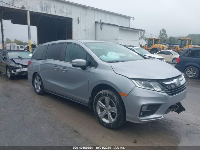 honda odyssey 2019 5fnrl6h55kb030424