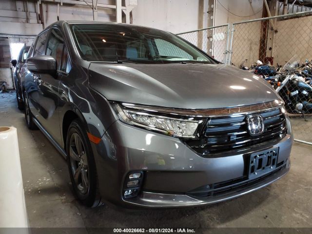 honda odyssey 2024 5fnrl6h56rb072045