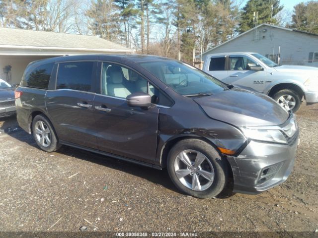 honda odyssey 2019 5fnrl6h57kb013916