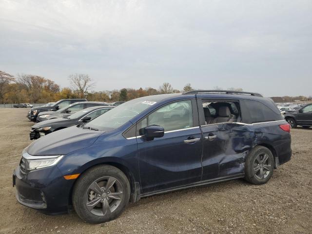 honda odyssey ex 2024 5fnrl6h58rb007584