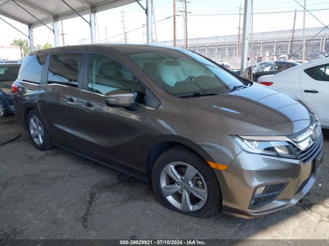 honda odyssey 2019 5fnrl6h59kb038980