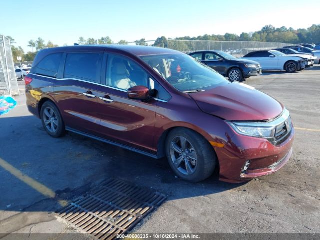 honda odyssey 2021 5fnrl6h59mb016318