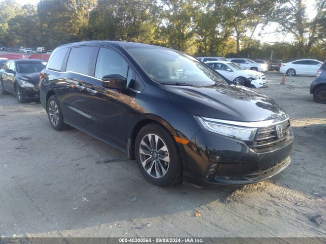 honda odyssey 2023 5fnrl6h60pb068577