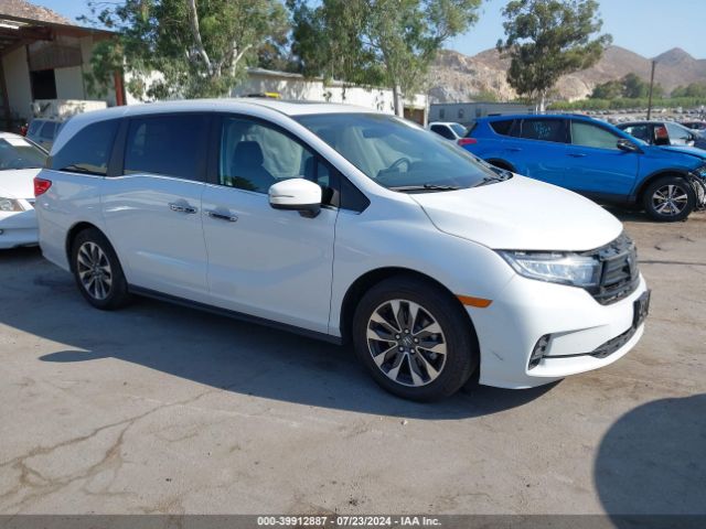 honda odyssey 2024 5fnrl6h61rb003014