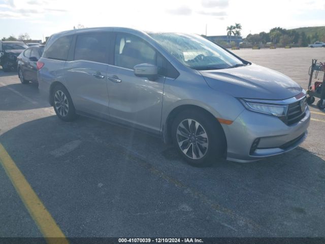 honda odyssey 2024 5fnrl6h61rb050544