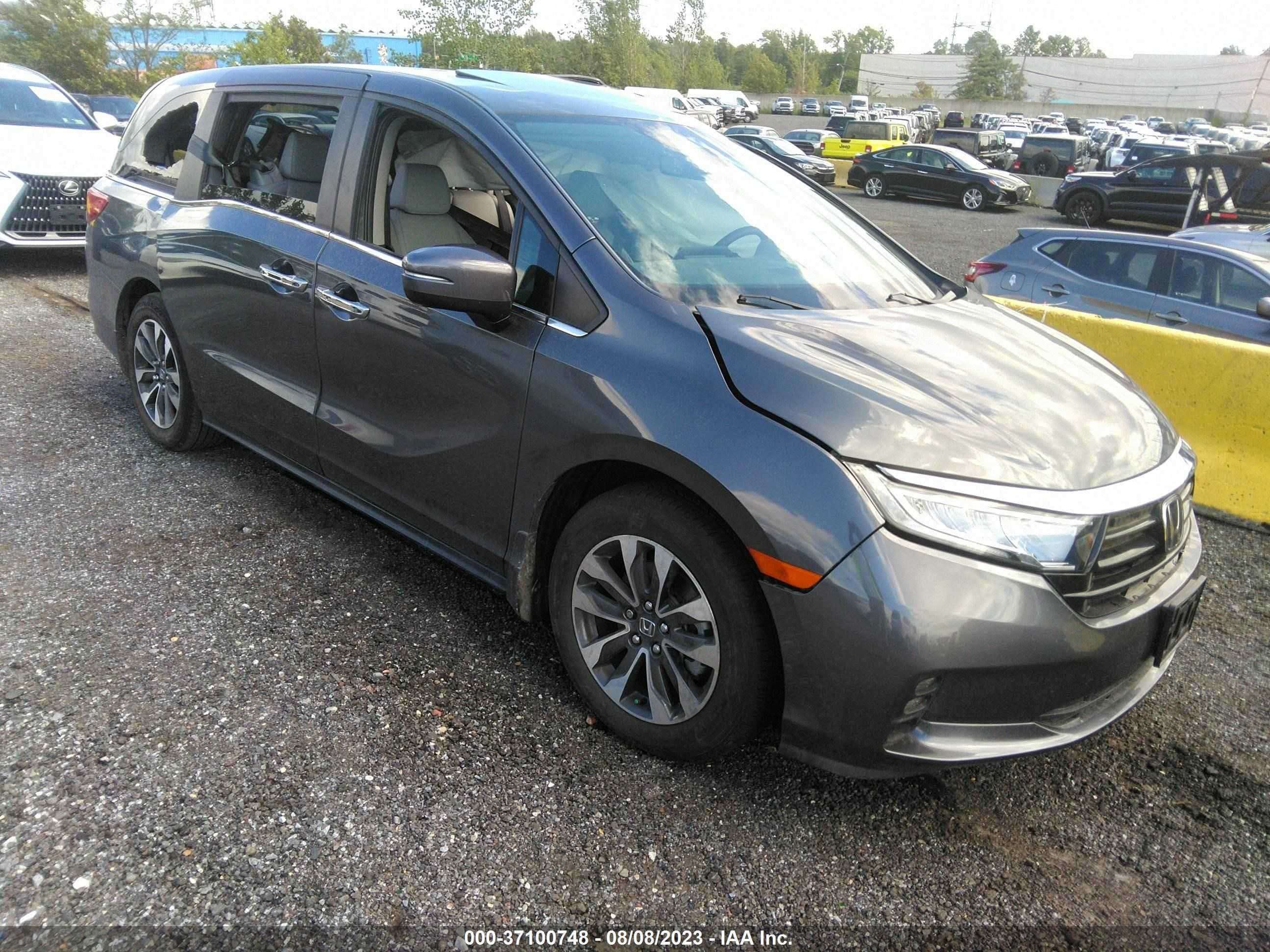 honda odyssey 2023 5fnrl6h62pb028629