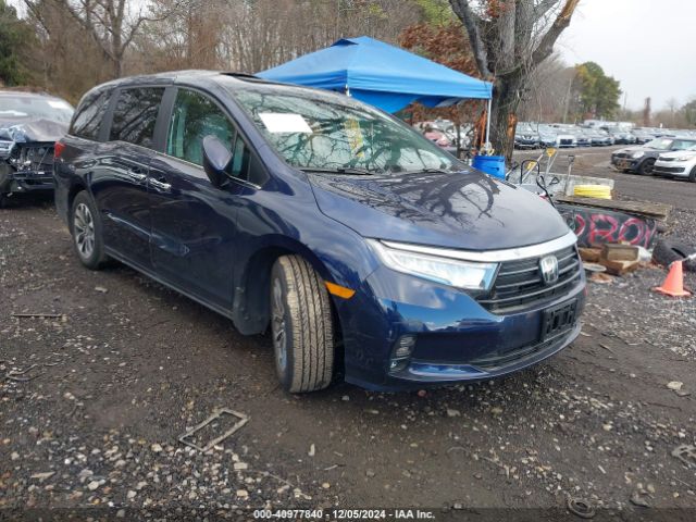 honda odyssey 2024 5fnrl6h63rb036886