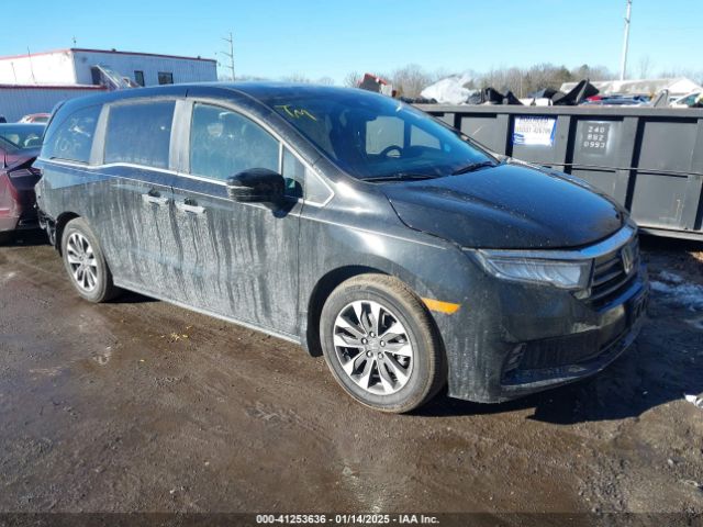 honda odyssey 2024 5fnrl6h63rb057902