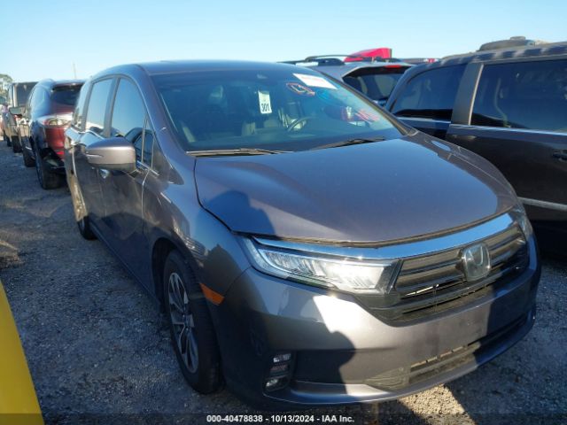 honda odyssey 2024 5fnrl6h63rb069872