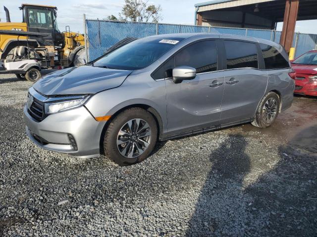 honda odyssey ex 2024 5fnrl6h64rb022950