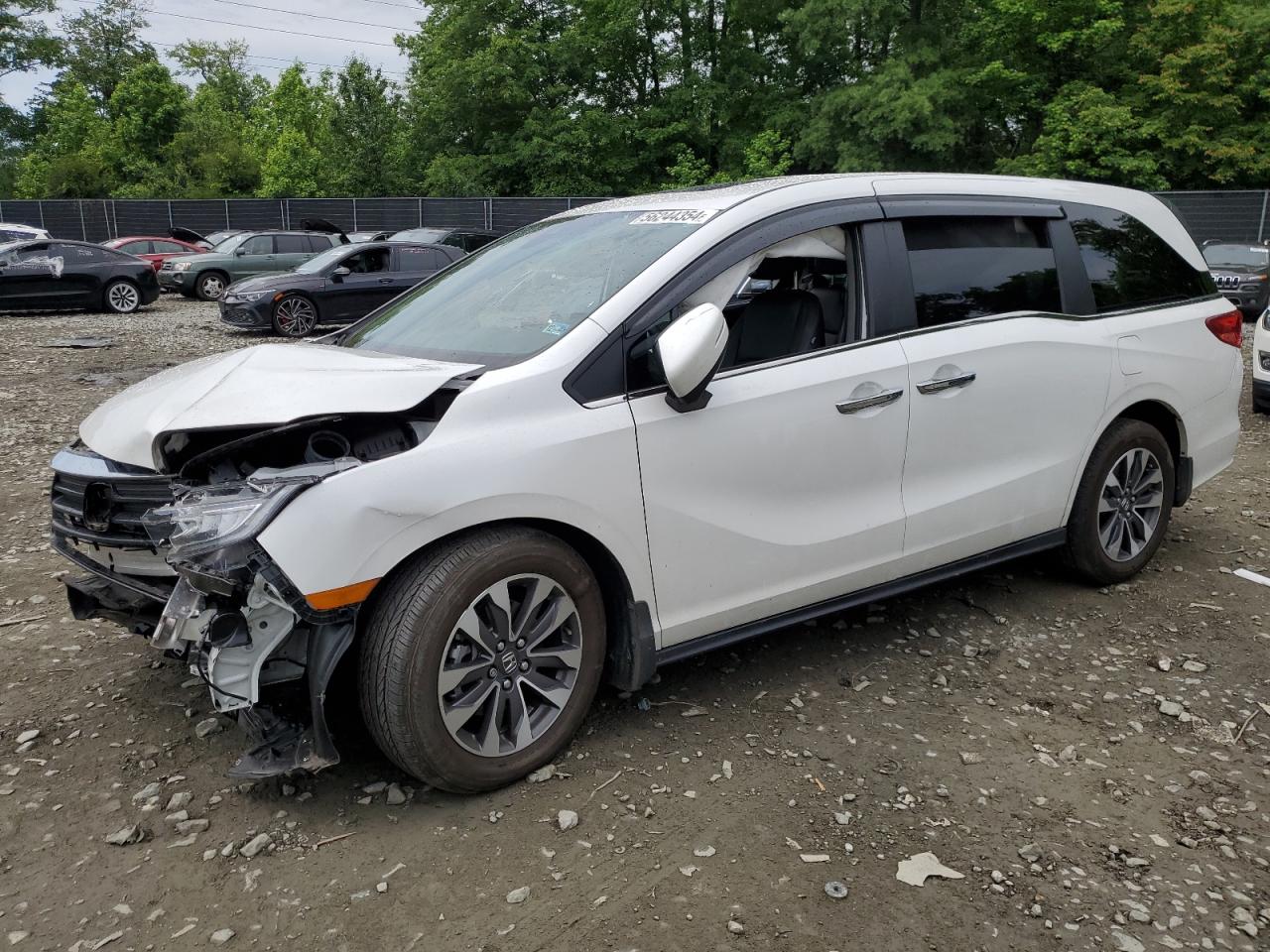 honda odyssey 2023 5fnrl6h66pb029136