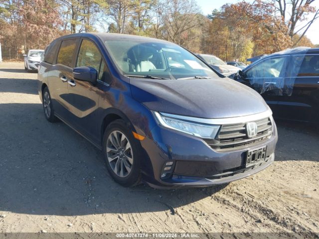 honda odyssey 2023 5fnrl6h66pb034675