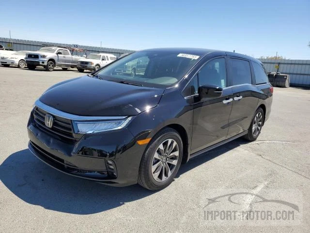 honda odyssey 2023 5fnrl6h66pb060385