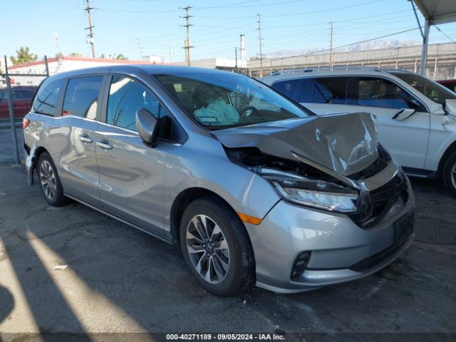 honda odyssey 2024 5fnrl6h66rb023713