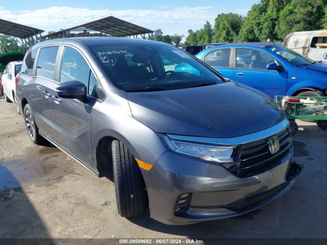 honda odyssey 2024 5fnrl6h66rb049812