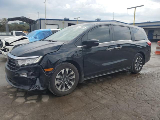 honda odyssey ex 2024 5fnrl6h66rb057893