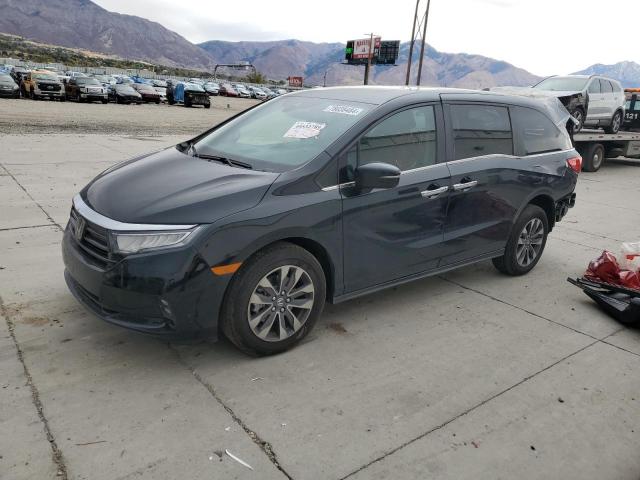 honda odyssey ex 2024 5fnrl6h66rb066237