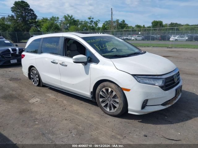 honda odyssey 2023 5fnrl6h68pb077110