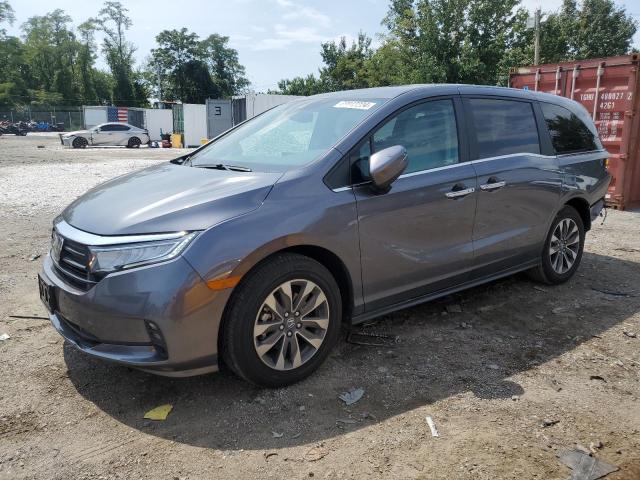 honda odyssey ex 2024 5fnrl6h6xrb053927