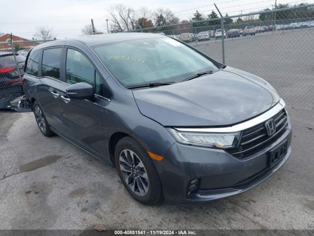 honda odyssey 2024 5fnrl6h6xrb073580