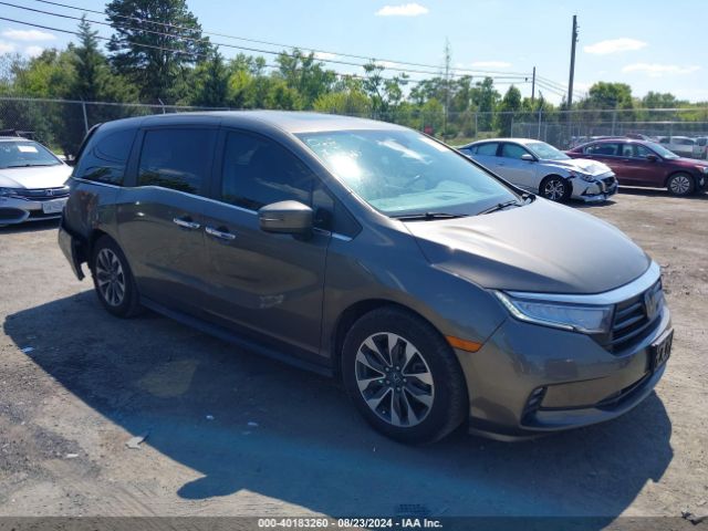 honda odyssey 2022 5fnrl6h70nb017733