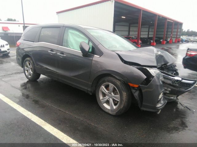 honda odyssey 2019 5fnrl6h71kb137620