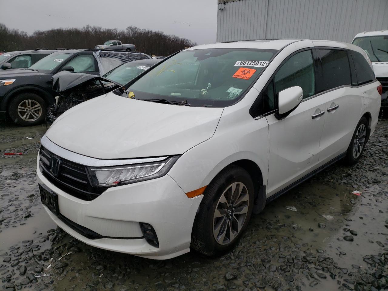 honda odyssey 2022 5fnrl6h71nb004442