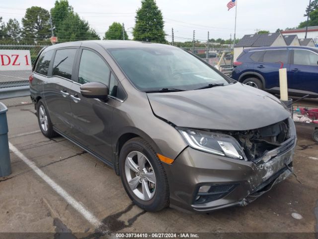 honda odyssey 2019 5fnrl6h72kb019091