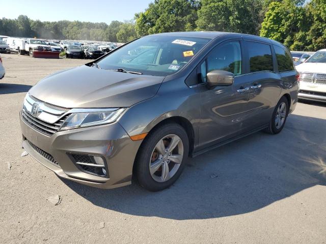 honda odyssey ex 2019 5fnrl6h72kb062930