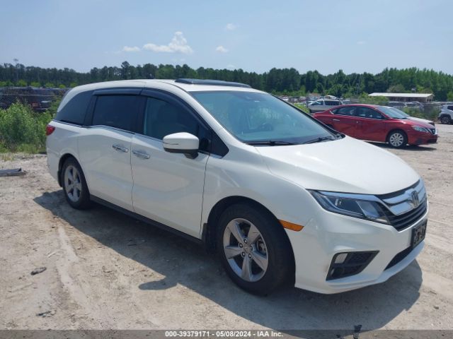 honda odyssey 2019 5fnrl6h72kb063964