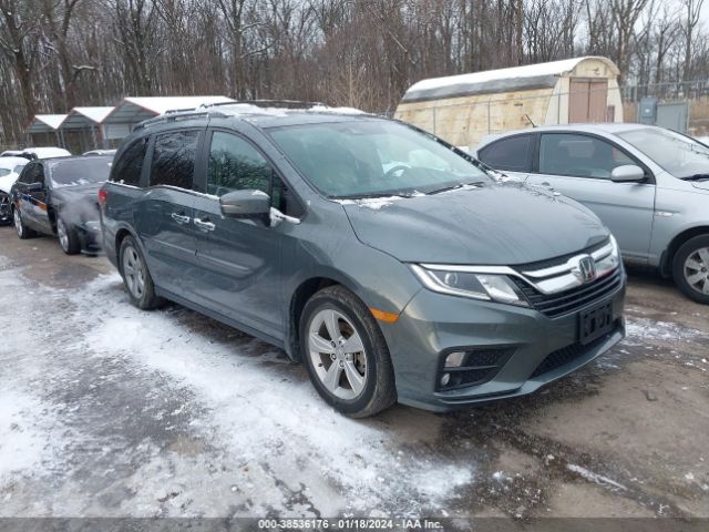 honda odyssey 2019 5fnrl6h72kb099895