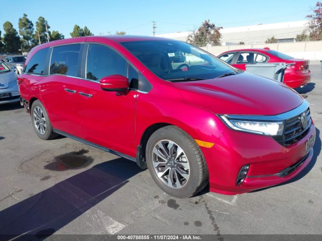 honda odyssey 2022 5fnrl6h72nb022304