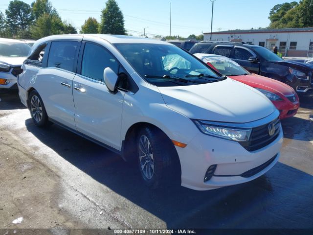 honda odyssey 2022 5fnrl6h73nb015667