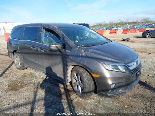 honda odyssey 2019 5fnrl6h75kb121727