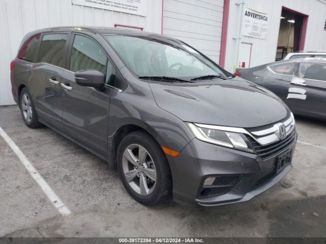 honda odyssey 2019 5fnrl6h75kb126877