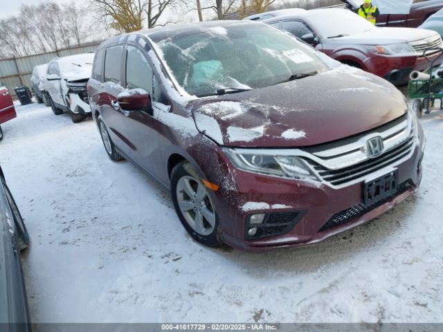 honda odyssey 2019 5fnrl6h76kb020633