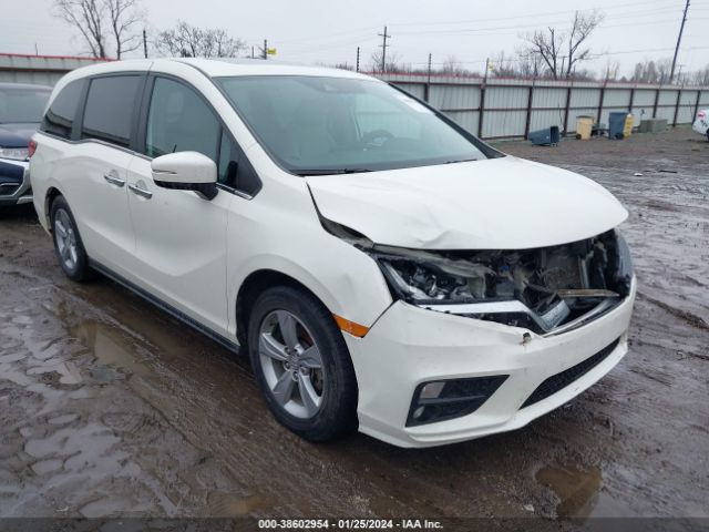 honda odyssey 2019 5fnrl6h76kb038095