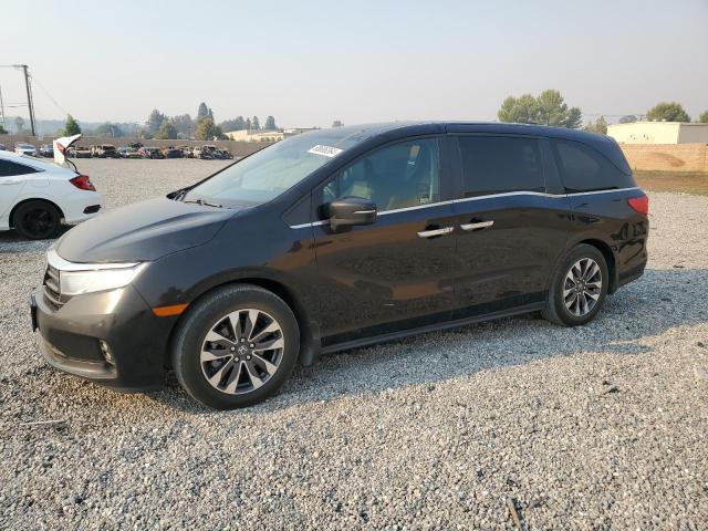 honda odyssey ex 2022 5fnrl6h76nb065723