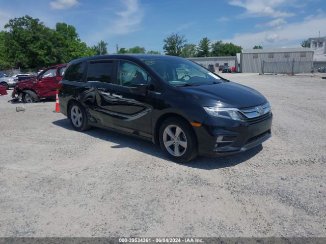 honda odyssey 2019 5fnrl6h77kb009687